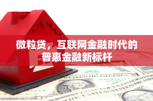 屯门微粒贷，互联网金融时代的普惠金融新标杆