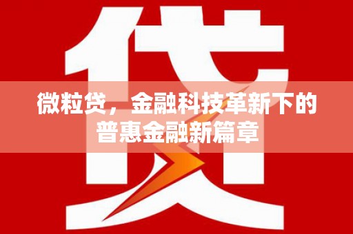 屯门微粒贷，金融科技革新下的普惠金融新篇章