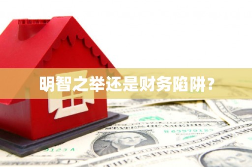 屯门明智之举还是财务陷阱？