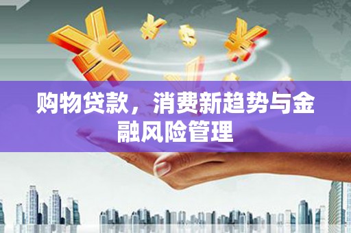 屯门购物贷款，消费新趋势与金融风险管理