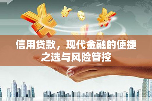 屯门信用贷款，现代金融的便捷之选与风险管控
