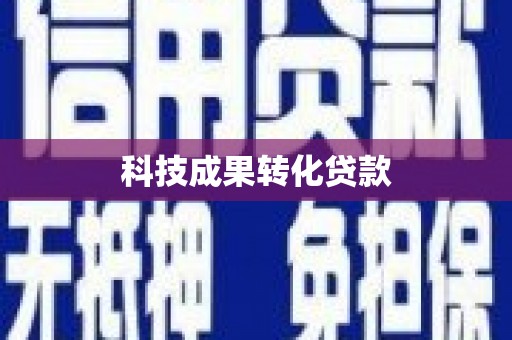 屯门科技成果转化贷款