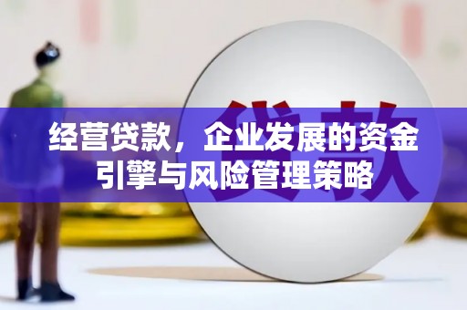 屯门经营贷款，企业发展的资金引擎与风险管理策略