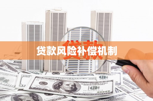 屯门贷款风险补偿机制