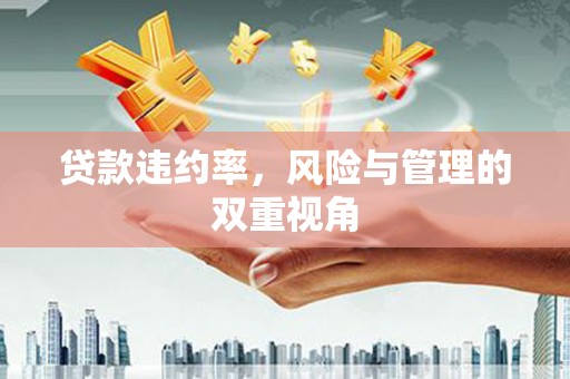 屯门贷款违约率，风险与管理的双重视角