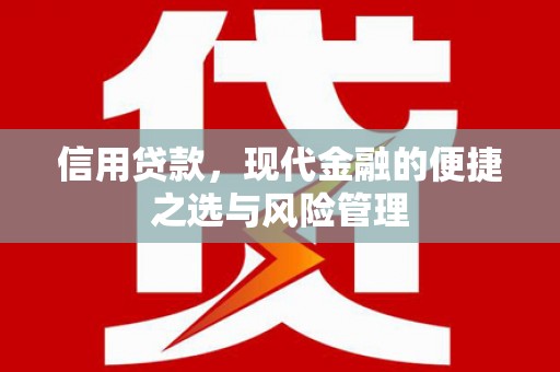 屯门信用贷款，现代金融的便捷之选与风险管理