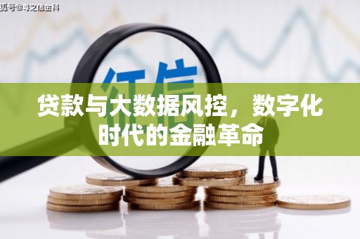 屯门贷款与大数据风控，数字化时代的金融革命