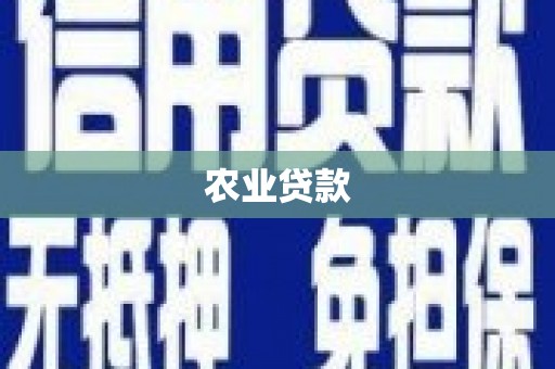 屯门农业贷款