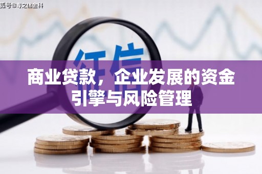 屯门商业贷款，企业发展的资金引擎与风险管理