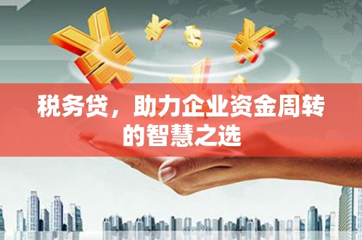 屯门税务贷，助力企业资金周转的智慧之选