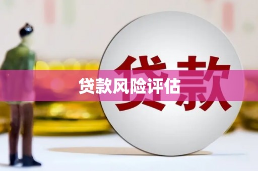 屯门贷款风险评估