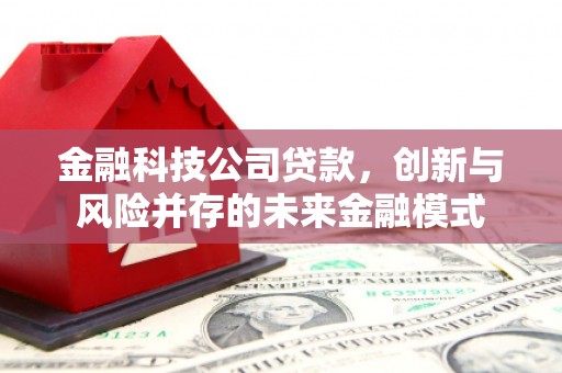 屯门金融科技公司贷款，创新与风险并存的未来金融模式