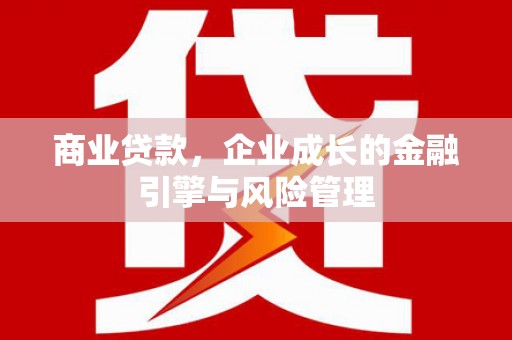 屯门商业贷款，企业成长的金融引擎与风险管理