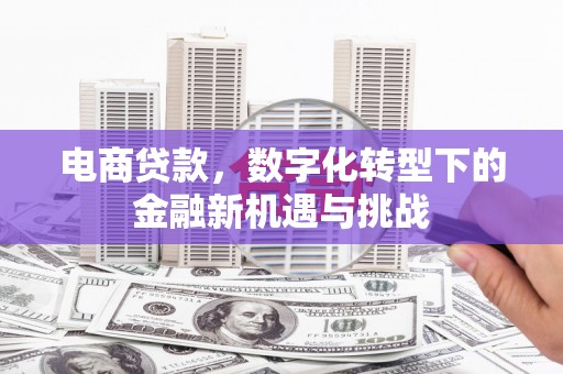 屯门电商贷款，数字化转型下的金融新机遇与挑战