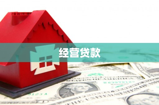 屯门经营贷款