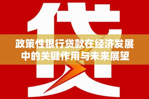 屯门政策性银行贷款在经济发展中的关键作用与未来展望