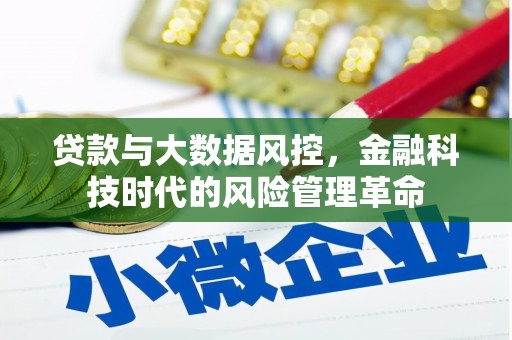 屯门贷款与大数据风控，金融科技时代的风险管理革命