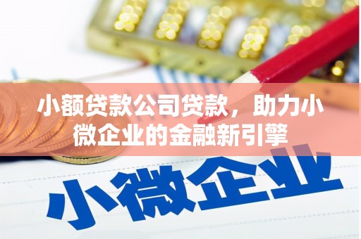 屯门小额贷款公司贷款，助力小微企业的金融新引擎