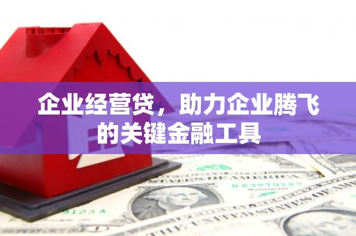 屯门企业经营贷，助力企业腾飞的关键金融工具