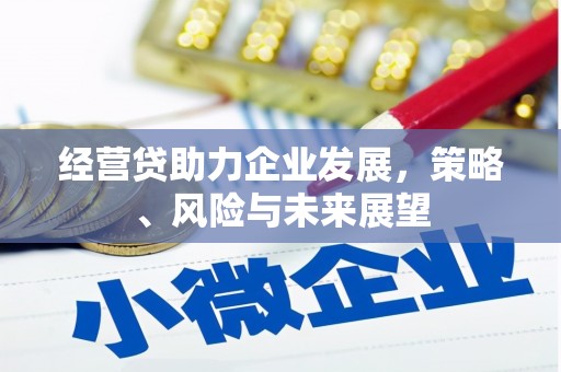 屯门经营贷助力企业发展，策略、风险与未来展望