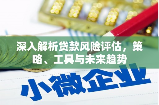 屯门深入解析贷款风险评估，策略、工具与未来趋势