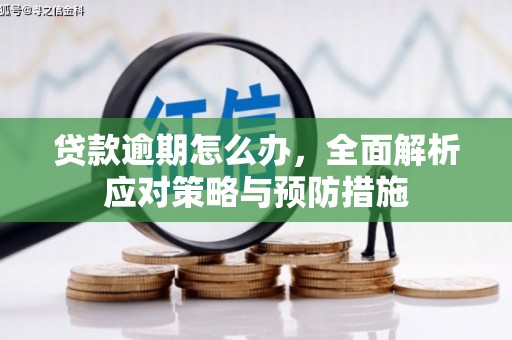 屯门贷款逾期怎么办，全面解析应对策略与预防措施