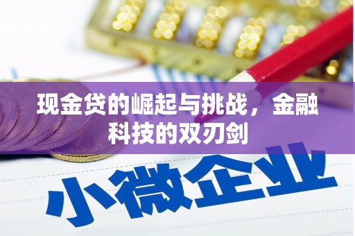 屯门现金贷的崛起与挑战，金融科技的双刃剑