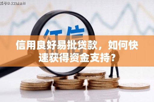 屯门信用良好易批贷款，如何快速获得资金支持？