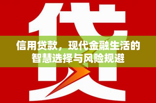 屯门信用贷款，现代金融生活的智慧选择与风险规避