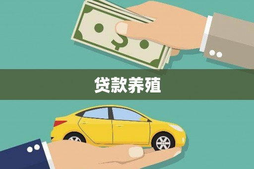 屯门贷款养殖