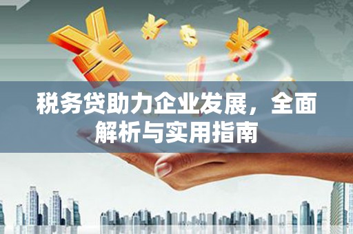 屯门税务贷助力企业发展，全面解析与实用指南