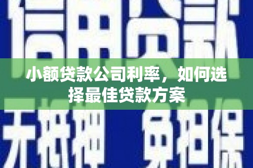 屯门小额贷款公司利率，如何选择最佳贷款方案