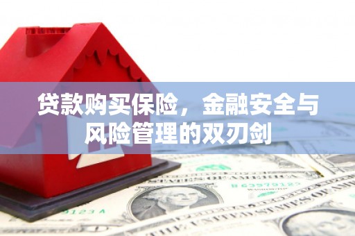屯门贷款购买保险，金融安全与风险管理的双刃剑