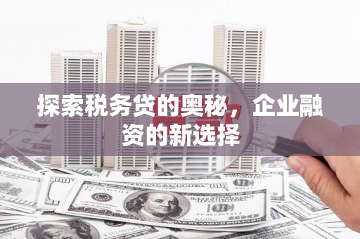 屯门探索税务贷的奥秘，企业融资的新选择