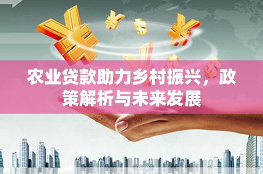 屯门农业贷款助力乡村振兴，政策解析与未来发展