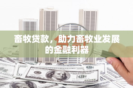 屯门畜牧贷款，助力畜牧业发展的金融利器