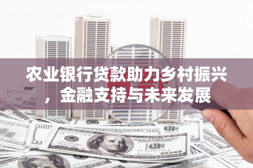 屯门农业银行贷款助力乡村振兴，金融支持与未来发展