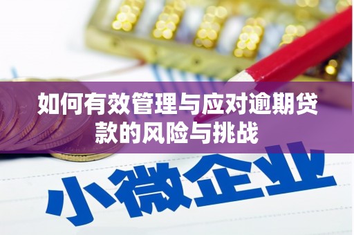 屯门如何有效管理与应对逾期贷款的风险与挑战
