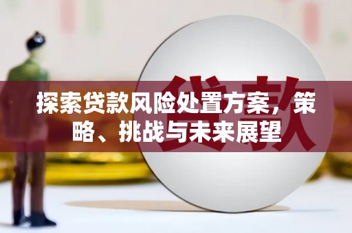 屯门探索贷款风险处置方案，策略、挑战与未来展望