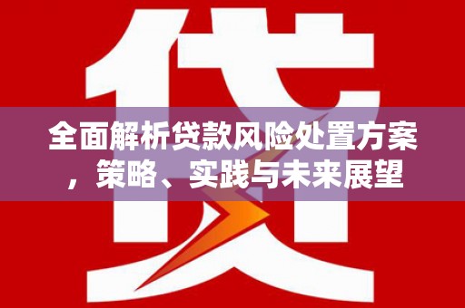 屯门全面解析贷款风险处置方案，策略、实践与未来展望