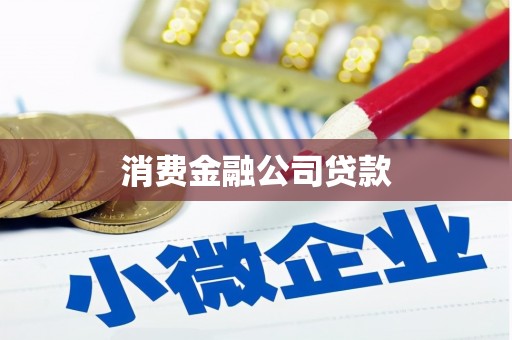 屯门消费金融公司贷款
