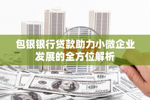 屯门包银银行贷款助力小微企业发展的全方位解析