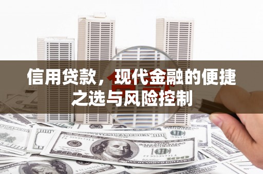 屯门信用贷款，现代金融的便捷之选与风险控制