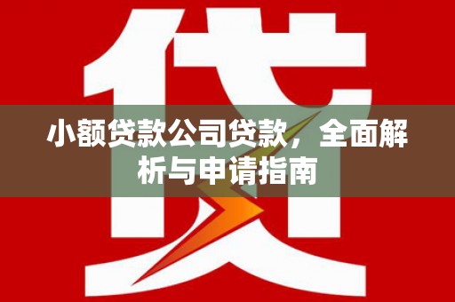 屯门小额贷款公司贷款，全面解析与申请指南