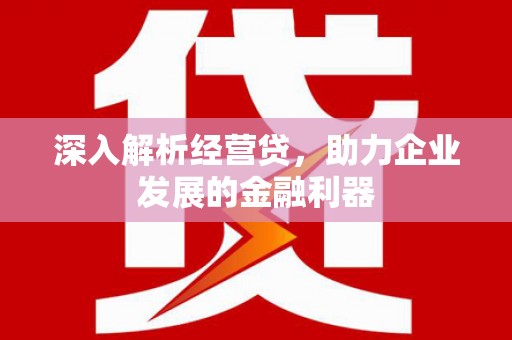 屯门深入解析经营贷，助力企业发展的金融利器