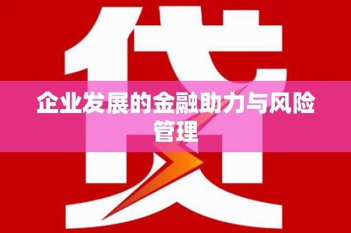 屯门企业发展的金融助力与风险管理
