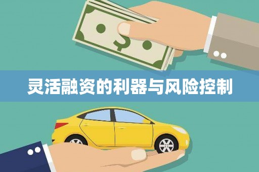 屯门灵活融资的利器与风险控制