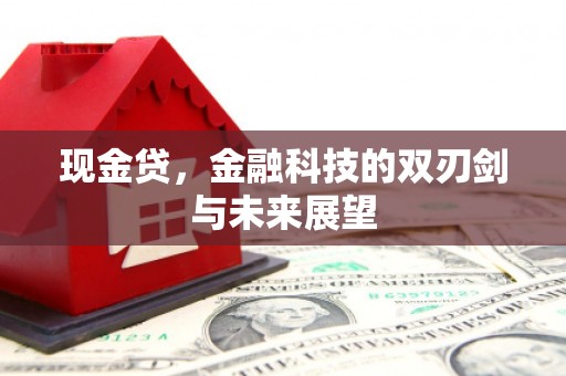 屯门现金贷，金融科技的双刃剑与未来展望