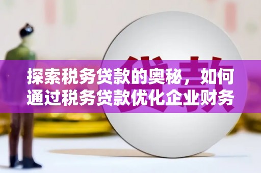 屯门探索税务贷款的奥秘，如何通过税务贷款优化企业财务