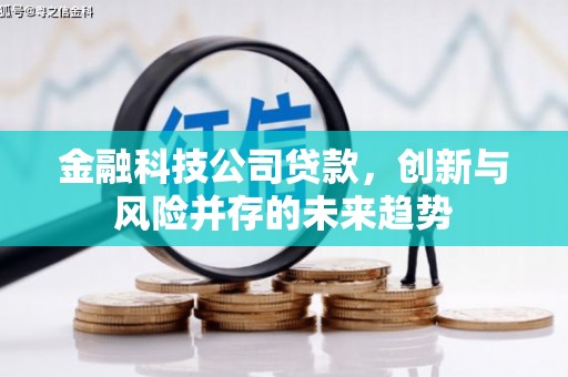 屯门金融科技公司贷款，创新与风险并存的未来趋势